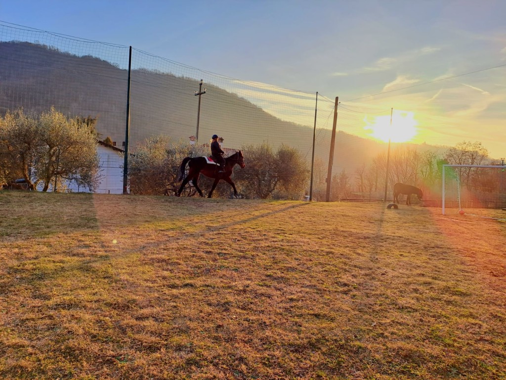 WhatsApp Image 2026-03-04 at 17.06.07 (1)